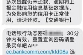 潜江为什么选择专业追讨公司来处理您的债务纠纷？